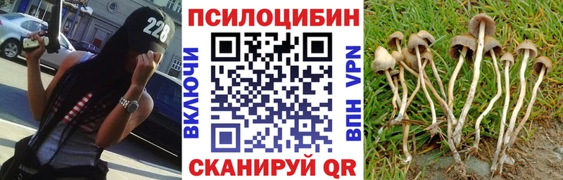 Галлюциногенные грибы ЛСД Электроугли